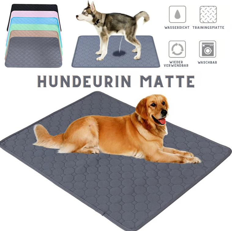 EcoPaw+ Waschbare Hundeurin-Matte – Nachhaltiger Schutz für Böden & einfache Reinigung