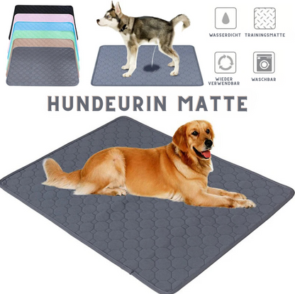 EcoPaw+ Waschbare Hundeurin-Matte – Nachhaltiger Schutz für Böden & einfache Reinigung