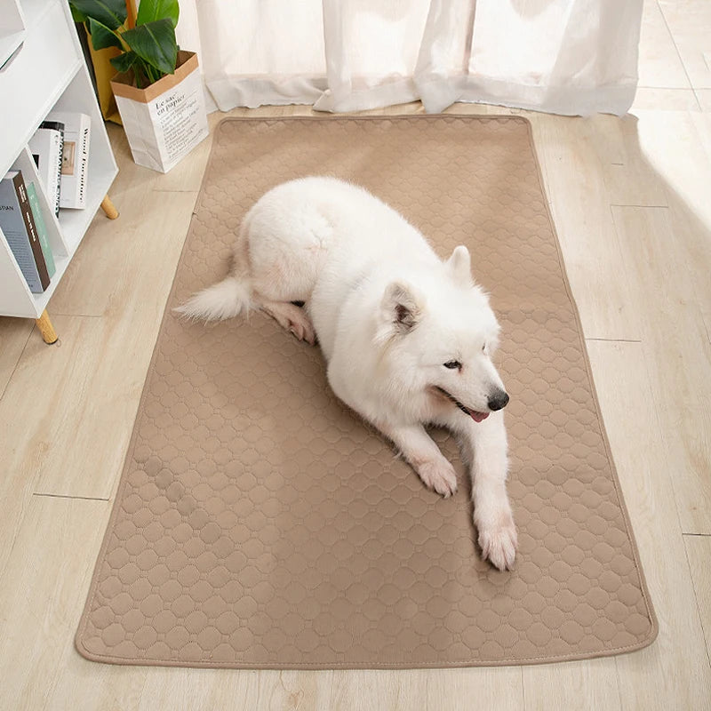 EcoPaw+ Waschbare Hundeurin-Matte – Nachhaltiger Schutz für Böden & einfache Reinigung