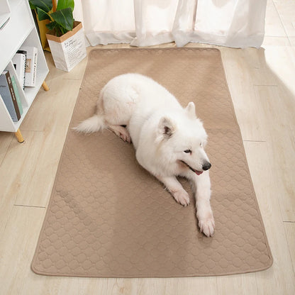 EcoPaw+ Waschbare Hundeurin-Matte – Nachhaltiger Schutz für Böden & einfache Reinigung