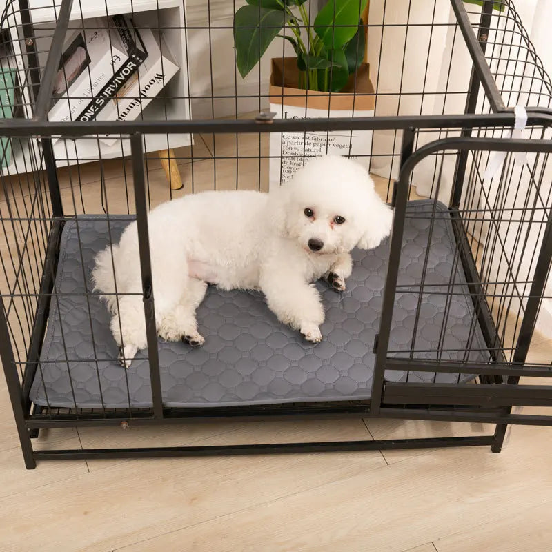 EcoPaw+ Waschbare Hundeurin-Matte – Nachhaltiger Schutz für Böden & einfache Reinigung